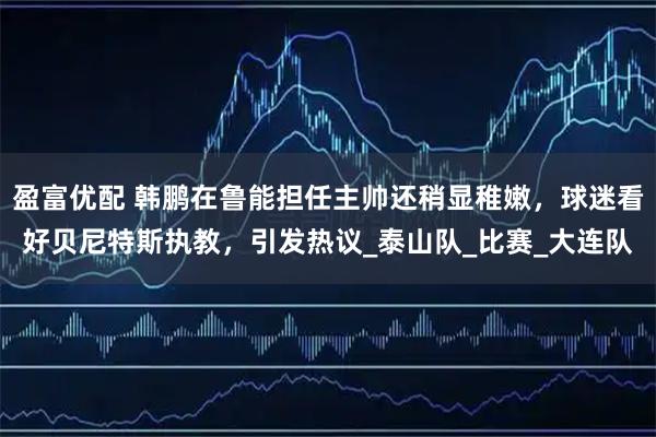 盈富优配 韩鹏在鲁能担任主帅还稍显稚嫩，球迷看好贝尼特斯执教，引发热议_泰山队_比赛_大连队
