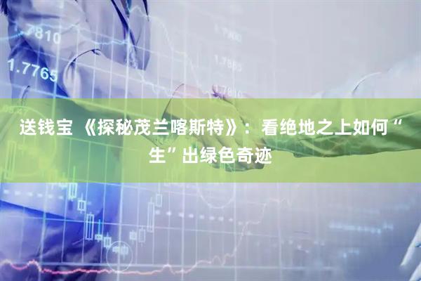 送钱宝 《探秘茂兰喀斯特》：看绝地之上如何“生”出绿色奇迹
