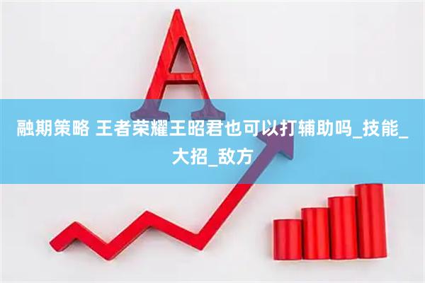 融期策略 王者荣耀王昭君也可以打辅助吗_技能_大招_敌方