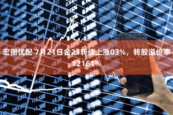 宏图优配 7月21日金23转债上涨03%，转股溢价率12161%
