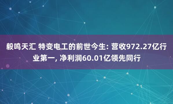 毅鸣天汇 特变电工的前世今生: 营收972.27亿行业第一, 净利润60.01亿领先同行