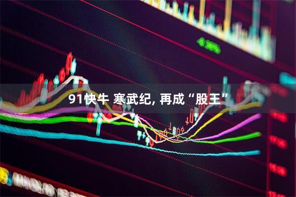91快牛 寒武纪, 再成“股王”