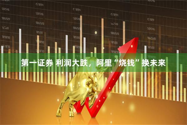 第一证券 利润大跌，阿里“烧钱”换未来