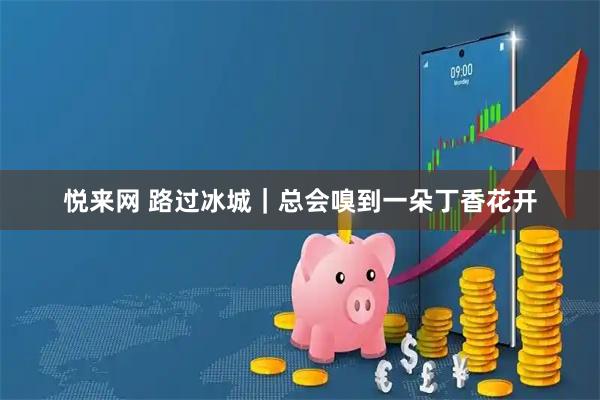 悦来网 路过冰城｜总会嗅到一朵丁香花开
