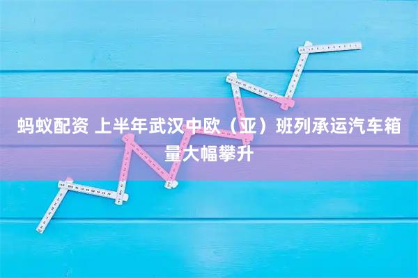 蚂蚁配资 上半年武汉中欧（亚）班列承运汽车箱量大幅攀升