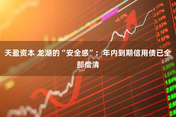 天盈资本 龙湖的“安全感”：年内到期信用债已全部偿清
