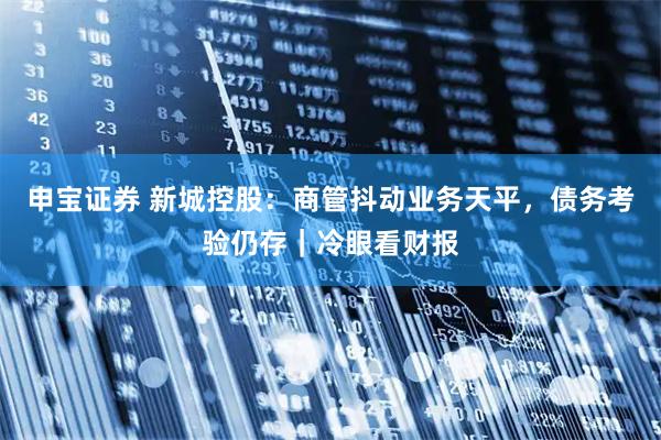 申宝证券 新城控股：商管抖动业务天平，债务考验仍存｜冷眼看财报